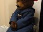 PaddingtonTheBear-movie5